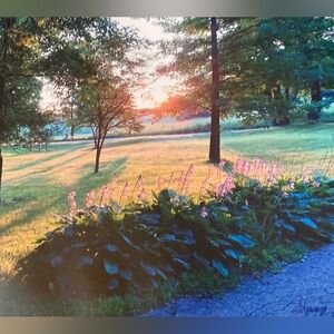 Sunset Landscape with Pink Flowers/photo